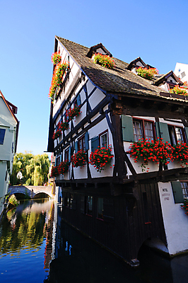 포토 JPG 해외이미지 여행 하늘 독일 풍경 사람없음 도시풍경 여행객 맑음 산책로 가을 중세 역사 구시가지 다뉴브강 해외202004 해외포토 계절 유럽 길 날씨 사람 도시 파일형식 이미지허브