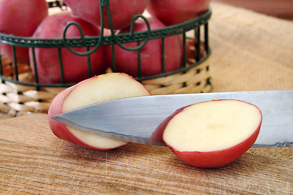 포토 JPG 해외이미지 잡화 음식 조각 농업 다이어트 채소 재료 새로움 감자 건강 사람없음 가로 빨간색 껍질 쓰레기통 흰색 시골 아기 칼 작음 자르기 준비 유기농 날것 뿌리 성분 녹말 생식 탄수화물 해외202004 해외포토 웰빙 산업 컬러 컨셉 모션 사람 크기 파일형식 이미지허브