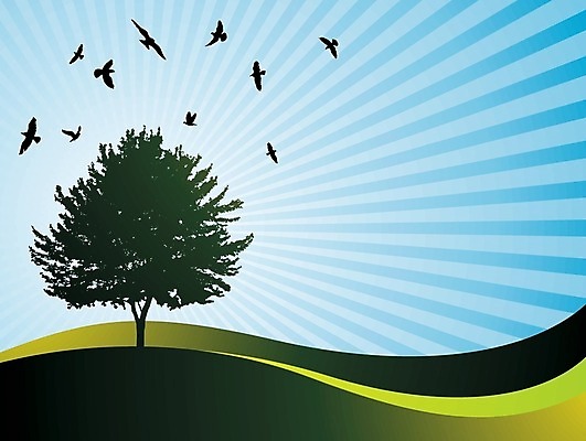 EPS 해외이미지 나무 식물 디자인 계절 꽃 실루엣 줄기 백그라운드 잎 꽃무늬 패턴 농업 일러스트 자연 조류 날씨 추상 풍경 초록색 여름 빛 정원 봄 성장 가을 고독 숲 땅 싱글 그림 원예 조경 포도나무 고립 자취 해외202004 해외일러스트 동물 감정 산업 컬러 무늬 촬영기법 취미 과일나무 생태계 파일형식 벡터 이미지허브