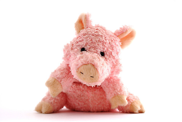 포토 JPG 해외이미지 동물 응시 분홍색 포옹 선물 사랑 사람없음 장식 가로 반려동물 한개 장난감 우정 터치 달콤 흰배경 부드러움 폭식 고립 돌봄 마스코트 특별함 해외202004 해외포토 1 시선 감정 컬러 백그라운드 컨셉 안기 모션 친구 흰색 감각 맛 파일형식 이미지허브