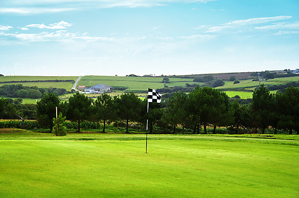 포토 JPG 해외이미지 나무 라이프스타일 계절 스포츠 백그라운드 밭 골프 공 골프장 자연 놀이 하늘 휴가 풍경 잔디 취미 사람없음 야외 초록색 여름 평화 봄 가을 게임 시골 깃발 구멍 고급 숲 강의 땅 흔적 장면 주말 지역 봉 골 페어웨이 전경 해외202004 해외포토 식물 컬러 컨셉 농업 스포츠시설 생활 구기 생태계 파일형식 탑뷰 이미지허브