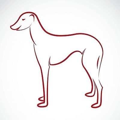 EPS 해외이미지 동물 실루엣 일러스트 그래픽 빨간색 반려동물 검은색 스패니얼 양 양치기 개 리트리버 강아지 테리어 래브라도리트리버 황소 날카로움 푸들 사냥개 여우 기르기 달마시안 마스티프 해외202004 해외일러스트 직업 컬러 포유류 촬영기법 소 돌봄 파일형식 벡터 이미지허브