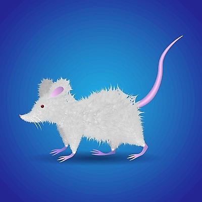 EPS 해외이미지 클립아트 동물 캐릭터 디자인 행복 야생동물 백그라운드 일러스트 포유류 자연 미술 서기 미소 웃음 그래픽 반려동물 갈색 회색 해충 쥐 설치류 작음 만화 모피 그림 코 꼬리 클립 코믹 나쁜 고립 마스코트 캐리커처 해외202004 해외일러스트 일러캐릭터 감정 컬러 모션 문화예술 표정 신체부위 벌레 크기 생태계 파일형식 벡터 이미지허브