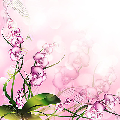 EPS 해외이미지 식물 꽃 분홍색 꽃다발 꽃무늬 일러스트 추상 휴가 장식 맑음 보라색 벚꽃 생일 난초 우아함 꽃집 초대 해외202004 해외일러스트 기념일 컬러 컨셉 무늬 날씨 상점 파일형식 벡터 이미지허브