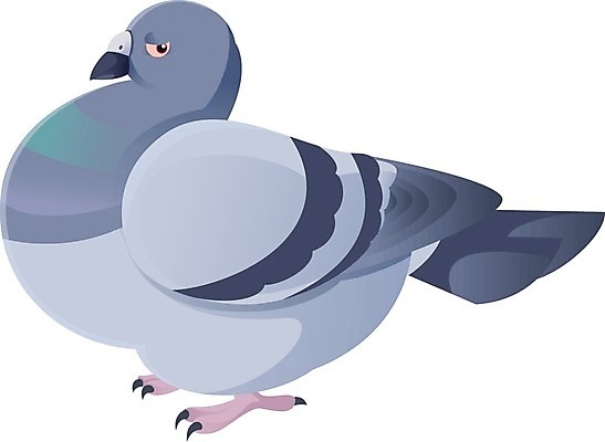 EPS 해외이미지 동물 디자인 야생동물 백그라운드 컨셉 일러스트 자연 조류 사랑 미술 반려동물 평화 침묵 회색 자유 흰색 그리기 우아함 은색 만화 심볼 깃털 오브젝트 사인 그림 비둘기 내추럴 고립 엘리먼트 해외202004 해외일러스트 감정 컬러 모션 문화예술 소리 생태계 파일형식 벡터 이미지허브