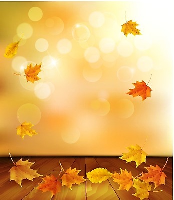 EPS 해외이미지 나무 템플릿 디자인 계절 공원 밧줄 백그라운드 컨셉 잎 패턴 오렌지 일러스트 비즈니스 학교 자연 벽지 추상 미술 야외 목재 장식 빨간색 컬러풀 갈색 노란색 우주 줄무늬 활발 가을 나뭇가지 신용카드 황금 우아함 질감 모음 효과 해외202004 해외일러스트 식물 공공시설 교육 줄 컬러 무늬 과일 재료 문화예술 금융 생태계 파일형식 벡터 이미지허브