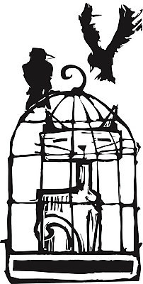 EPS 해외이미지 동물 일러스트 조류 동물원 안전 반려동물 고양이 새장 반전 까마귀 해외202004 해외일러스트 컨셉 포유류 케이지 파일형식 벡터 이미지허브