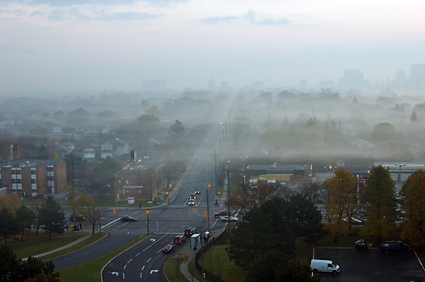 포토 JPG 해외이미지 나무 캐나다 아침 주택 사람없음 건물 빛 도시풍경 일출 안개 도시 타운 스카이라인 토론토 해외202004 해외포토 주간 식물 건축물 북아메리카 날씨 풍경 노을 파일형식 이미지허브