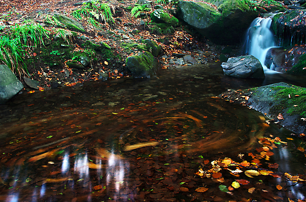 포토 JPG 해외이미지 나무 공원 모션 자연 휴식 산 이끼 풍경 사람없음 야외 목재 초록색 물 여름 강 평화 환경 봄 활발 폭포 젖음 촉촉함 흐름 가을 바위 신선 개울 떨어짐 숲 시원함 순수 내추럴 우크라이나 그리너리 해외202004 해외포토 자연요소 식물 계절 공공시설 유럽 컬러 컨셉 재료 돌_바위 생태계 파일형식 트랜드컬러 이미지허브