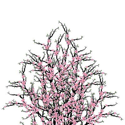 EPS 해외이미지 식물 디자인 배너 계절 꽃 파도 분홍색 백그라운드 잎 꽃무늬 곡선 일러스트 텍스트 자연 추상 장식 초록색 여름 환경 정원 중국 봄 성장 벚꽃 흰색 나뭇가지 신선 신용카드 체리 보호 에코 원예 해외202004 해외일러스트 나무 아시아 선 바다 컬러 컨셉 무늬 과일 취미 금융 생태계 파일형식 벡터 이미지허브