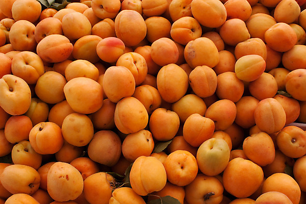 포토 JPG 해외이미지 잡화 음식 농업 다이어트 채소 양파 오이 건강 서기 사람없음 빨간색 초록색 컬러풀 농장 노란색 당근 신선 시장 맛 구매 농부 상추 먹기 유기농 날것 복숭아 성분 블랙베리 내추럴 살구 숙성 해외202004 해외포토 직업 웰빙 산업 컬러 컨셉 과일 모션 뿌리채소 쇼핑 파일형식 이미지허브