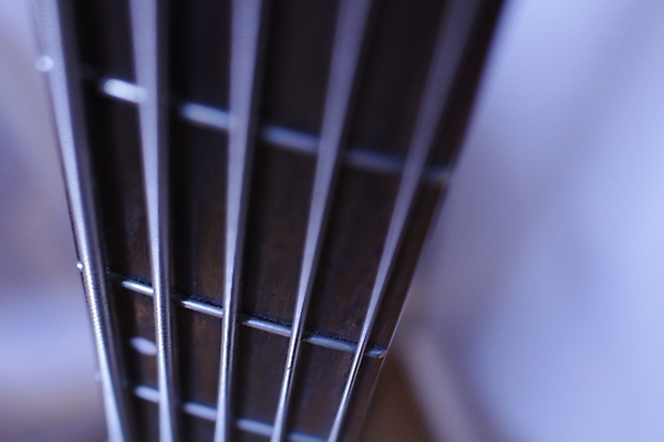 포토 JPG 해외이미지 줄 사람없음 베이스 해외202004 해외포토 현악기 파일형식 이미지허브