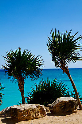 포토 JPG 해외이미지 나무 식물 여행 백그라운드 잎 하늘 멕시코 풍경 사람없음 물 여름 파란색 평화 맑음 뜨거움 중앙아메리카 해외202004 해외포토 자연요소 계절 컬러 컨셉 북아메리카 날씨 아메리카 파일형식 이미지허브