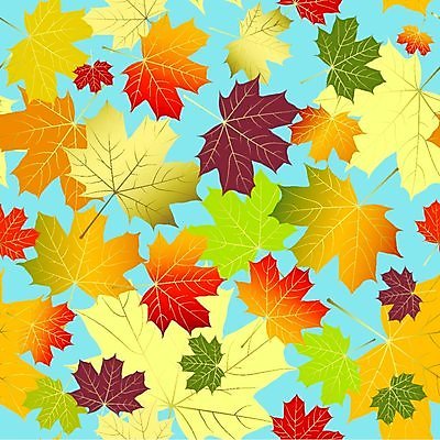 EPS 해외이미지 식물 디자인 실루엣 종이 백그라운드 단풍 잎 꽃무늬 패턴 오렌지 일러스트 자연 벽지 추상 장식 빨간색 파란색 갈색 노란색 어둠 가을 직물 원형 황금 떨어짐 그림 질감 목각 엘리먼트 방식 해외202004 해외일러스트 도형 계절 꽃 컬러 컨셉 무늬 과일 촬영기법 생태계 파일형식 벡터 이미지허브