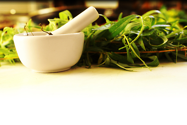 포토 JPG 해외이미지 식물 음식 과학 백그라운드 잎 재료 자연 건강 요리 사람없음 치료 초록색 알약 약 손상 흰색 공구 신선 도자기 약초 허브 향신료 준비 유기농 성분 테라피 조제 내추럴 보충 막자 에센스 치료제 해외202004 해외포토 웰빙 컬러 컨셉 의학 뷰티 화장품 도구 풀_식물 생태계 만들기 향미료 파일형식 이미지허브