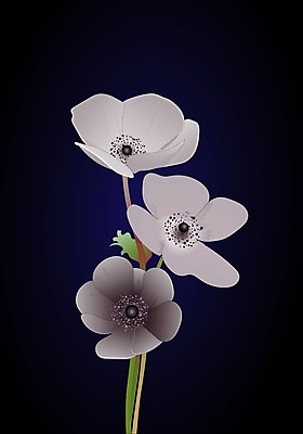 EPS 해외이미지 식물 템플릿 디자인 꽃 꽃다발 결혼 잎 꽃무늬 패턴 일러스트 자연 벽지 수채화 프레임 미술 장식 초록색 여름 세트 장미 유행 정원 봄 수확 나뭇가지 축하 신용카드 우아함 인쇄 스케치 수집 초대 엘리먼트 유칼립투스 이국적 그리너리 해외202004 해외일러스트 나무 계절 컬러 컨셉 무늬 농업 문화예술 이벤트 금융 생태계 파일형식 벡터 트랜드컬러 이미지허브