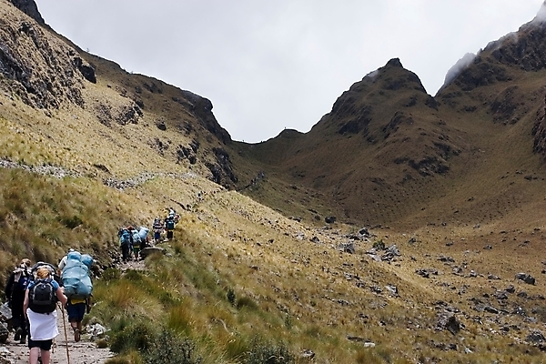 포토 JPG 해외이미지 구름 꽃 자국 산 사람없음 강 컬러풀 태양 여행객 마을 트래킹 하이킹 난초 질병 숲 열대우림 고도 폐허 대문 통과 아마존 잉카 해외202004 해외포토 자연요소 식물 컬러 의학 레저 사람 문 파일형식 이미지허브
