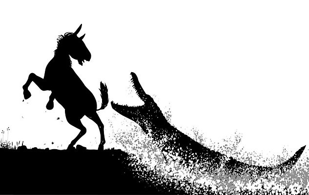 EPS 해외이미지 실루엣 야생동물 포즈 일러스트 파충류 아프리카 자연 그래픽 놀람 공백 떨어짐 위험 먹이 공격 육식동물 악어 얼룩말 내추럴 반응 카피스페이스 해외202004 해외일러스트 동물 감정 나라 컨셉 모션 촬영기법 표정 말_동물 생태계 파일형식 벡터 이미지허브