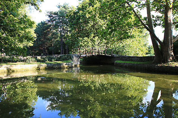 포토 JPG 해외이미지 나무 공원 호수 잎 자연 표면 풍경 사람없음 초록색 반사 소풍 가을 연못 숲 해외202004 해외포토 식물 계절 공공시설 컬러 야외활동 생태계 파일형식 이미지허브