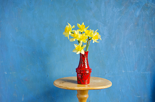 포토 JPG 해외이미지 식물 계절 꽃 꽃다발 백그라운드 자연 탁자 휴가 부활절 사람없음 목재 장식 빨간색 초록색 파란색 컬러풀 노란색 꽃병 침묵 봄 벚꽃 신선 개화 다발 배열 수선화 구성 해외202004 해외포토 나무 기념일 컬러 가구 재료 소리 생태계 파일형식 이미지허브