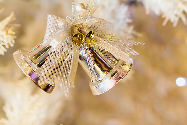 포토 JPG 해외이미지 나무 전통 디자인 별 백그라운드 크리스마스 겨울 패턴 휴가 새해 그림자 사람없음 목재 우주 종 흰색 축하 시간 소나무 황금 클래식 부드러움 내추럴 그런지 블러 해외202004 해외포토 자연요소 식물 계절 기념일 컬러 컨셉 무늬 재료 감각 파일형식 이미지허브