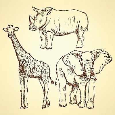 EPS 해외이미지 동물 손 디자인 야생동물 백그라운드 패턴 일러스트 포유류 아프리카 자연 추상 코끼리 잉크 뿔 동물원 미술 동양인 그래픽 컬러풀 힘 수확 그리기 숲 큼 만화 스케치 인도인 기린 사파리 피부 타일 그림 복고 판화 코뿔소 멸종위기동물 매머드 그런지 동물상 옛날 이국적 현실 해외202004 해외일러스트 외국인 나라 컬러 무늬 농업 모션 문화예술 인종 신체부위 조형물 크기 생태계 파일형식 벡터 멸종위기종 이미지허브