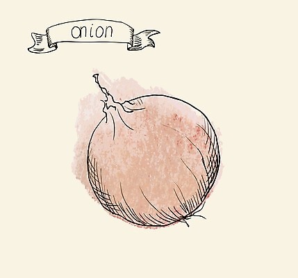 EPS 해외이미지 식물 잡화 음식 조각 백그라운드 다이어트 채소 일러스트 재료 전구 부분 자연 양파 수채화 건강 요리 식당 보라색 식사 페인트 샐러드 수확 껍질 흰색 신선 달콤 낙서 스케치 자르기 먹기 향신료 메뉴 그림 유기농 날것 뿌리 향료 내추럴 숙성 식용 채식주의자 샬롯 막 해외202004 해외일러스트 웰빙 컬러 농업 모션 미술 상점 맛 생태계 채식 향기 냄새 향미료 파일형식 벡터 이미지허브