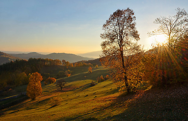 포토 JPG 해외이미지 나무 계절 길 여행 백그라운드 잎 자연 아침 산 풍경 사람없음 야외 빨간색 빛 컬러풀 노란색 마을 일출 환경 일몰 활발 안개 가을 저녁 숲 루마니아 10월 내추럴 강렬 절정 해외202004 해외포토 주간 식물 유럽 컬러 컨셉 날씨 노을 날짜 야간 생태계 파일형식 이미지허브