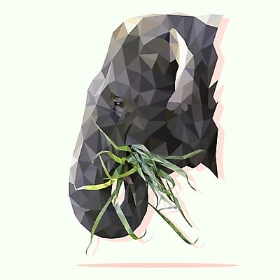 EPS 해외이미지 모양 동물 디자인 포스터 아시아 얼굴 야생동물 백그라운드 컨셉 일러스트 포유류 자연 코끼리 미술 그래픽 장식 머리 유행 흰색 숲 큼 먹이 먹기 배고픔 심볼 사파리 오브젝트 종이접기 주둥이 동물상 엘리먼트 혼자 아바타 스타일 해외202004 해외일러스트 나라 종이 컬러 모션 문화예술 신체부위 조형물 크기 생태계 접기 파일형식 벡터 이미지허브