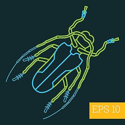 EPS 해외이미지 디자인 야생동물 선 곤충 절지류 일러스트 그래픽 픽토그램 주름 벌레 딱정벌레 심볼 오브젝트 사인 그림 심플 윤곽 고립 얇은 엘리먼트 해외202004 해외일러스트 동물 파일형식 벡터 이미지허브