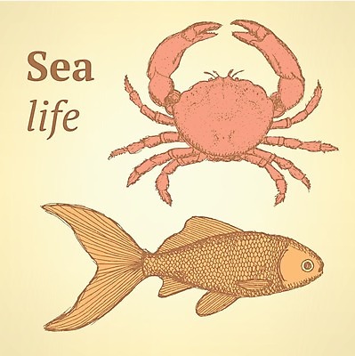 EPS 해외이미지 동물 손 디자인 야생동물 음식 바다 백그라운드 컨셉 일러스트 자연 낚시 조개 갑각류 어류 미술 그래픽 장식 물 여름 식당 페인트 수확 게 신선 신용카드 시장 스케치 해산물 타일 메뉴 그림 질감 복고 암 그런지 옛날 집게발 포장소품 현실 해외202004 해외일러스트 자연요소 계절 농업 포장 레저 문화예술 어패류 신체부위 금융 상점 수중동물 질병 오브젝트 생태계 포장재료 파일형식 벡터 이미지허브