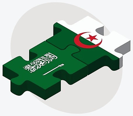 EPS 해외이미지 조각 컨셉 일러스트 비즈니스 관계 아프리카 협력 함께함 사람 그래픽 3D 깃발 퍼즐 연결 결합 접속 오브젝트 흰배경 아라비아 나눔 해결 사우디아라비아 고립 아랍어 알제리 왕국 전국 정부 정치 통일 해외202004 해외일러스트 나라 백그라운드 중동 흰색 디지털합성 파일형식 벡터 이미지허브