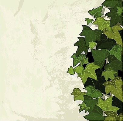 EPS 해외이미지 식물 디자인 배너 파도 백그라운드 잎 꽃무늬 일러스트 자연 미술 장식 초록색 봄 얼룩 우아함 질감 포도나무 내추럴 구성 그런지 심기 옛날 스타일 해외202004 해외일러스트 계절 꽃 바다 컬러 컨셉 무늬 모션 문화예술 과일나무 생태계 파일형식 벡터 이미지허브