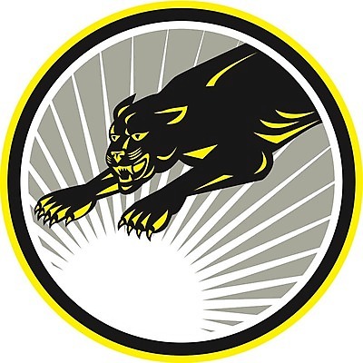 EPS 해외이미지 동물 야생동물 일러스트 그래픽 머리 검은색 고양이 원형 복고 표범 재규어 해외202004 해외일러스트 도형 컬러 포유류 신체부위 반려동물 파일형식 벡터 사람 이미지허브