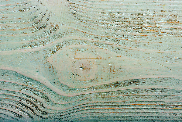 포토 JPG 해외이미지 나무 백그라운드 근접촬영 사람없음 목재 흰색 질감 카피스페이스 해외202004 해외포토 식물 뷰포인트 컬러 재료 공백 파일형식 이미지허브