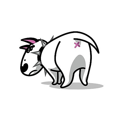 EPS 해외이미지 클립아트 동물 행복 새끼 분홍색 백그라운드 일러스트 포유류 미술 소년 반려동물 분노 흰색 아기 신용카드 개 강아지 보호 만화 모피 테리어 황소 꼬리 사냥개 송곳니 고립 기르기 복종 충실 해외202004 해외일러스트 남자 감정 어린이 컬러 컨셉 문화예술 사람 금융 소 치아 돌봄 파일형식 벡터 이미지허브