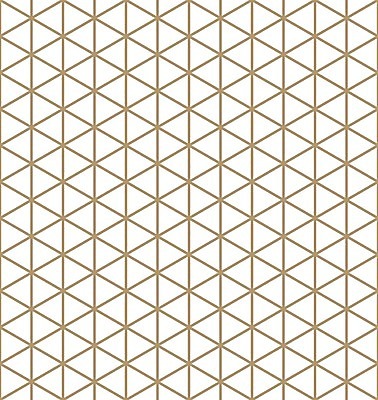 EPS 해외이미지 전통 디자인 실루엣 아시아 종이 선 벽 백그라운드 패턴 일러스트 벽지 흑백 동양인 장식 노란색 스크린 일본 검은색 중국 흰색 직물 황금 모서리 삼각형 계획 이슬람교 모자이크 육각형 아랍어 엘리먼트 해외202004 해외일러스트 도형 나라 종교 컬러 컨셉 무늬 촬영기법 인종 파일형식 벡터 이미지허브