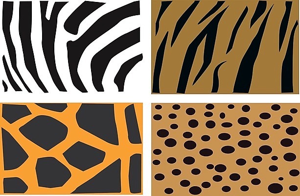 EPS 해외이미지 동물 디자인 야생동물 백그라운드 패턴 오렌지 일러스트 아프리카 자연 추상 털 동물원 그래픽 장식 갈색 유행 검은색 줄무늬 수확 덮개 흰색 직물 거친 호랑이 고급 인쇄 가죽 기린 사파리 피부 타일 묘사 질감 얼룩말 층 표범 내추럴 스타일 효과 해외202004 해외일러스트 나라 컬러 컨셉 무늬 농업 과일 포유류 신체부위 뚜껑 말_동물 생태계 파일형식 벡터 이미지허브