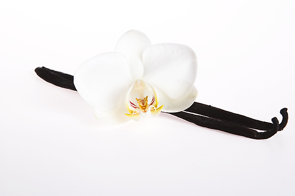 포토 JPG 해외이미지 꽃 음료 음식 백그라운드 재료 자연 디저트 콩 건조 요리 동양인 사람없음 세로 갈색 노란색 검은색 어둠 벚꽃 흰색 양념 막대기 난초 닫기 달콤 맛 인도인 굽기 먹기 향수 향신료 오브젝트 유기농 아로마 향 아로마테라피 흙더미 내추럴 고립 꼬투리 바닐라 이국적 해외202004 해외포토 외국인 식물 웰빙 컬러 컨셉 모션 곡류 인종 흙 화장품 구이 생태계 테라피 향미료 파일형식 더미 이미지허브