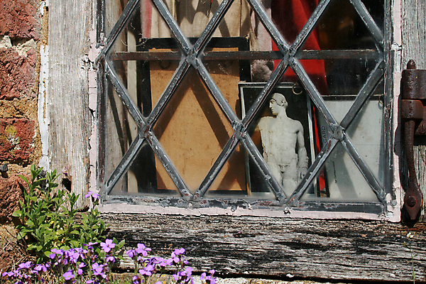 포토 JPG 해외이미지 꽃 창문 벽돌 주택 프레임 사람없음 건물 목재 그림 옛날 해외202004 해외포토 나무 식물 건축물 재료 파일형식 이미지허브