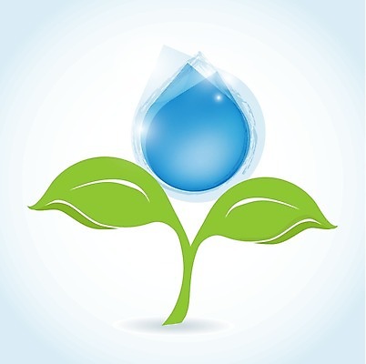 EPS 해외이미지 디자인 백그라운드 잎 패턴 일러스트 자연 표면 추상 미술 그래픽 초록색 물 빛 반사 환경 거품 젖음 물방울 신선 투명 액체 닫기 떨어짐 이슬 시원함 빗방울 순수 에코 질감 내추럴 현실 해외202004 해외일러스트 자연요소 식물 컬러 컨셉 무늬 모션 문화예술 비_날씨 생태계 파일형식 벡터 이미지허브