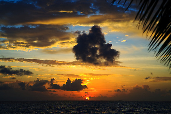 포토 JPG 해외이미지 나무 구름 실루엣 모래 파도 바다 섬 여행 잎 오렌지 자연 하늘 휴가 열대 따뜻함 손바닥 그림자 사람없음 빨간색 초록색 물 여름 파란색 태양 일출 맑음 일몰 꿈 야간 암초 코코넛 몰디브 아열대 해외202004 해외포토 자연요소 식물 손 계절 아시아 컬러 과일 날씨 촬영기법 노을 생태계 파일형식 이미지허브