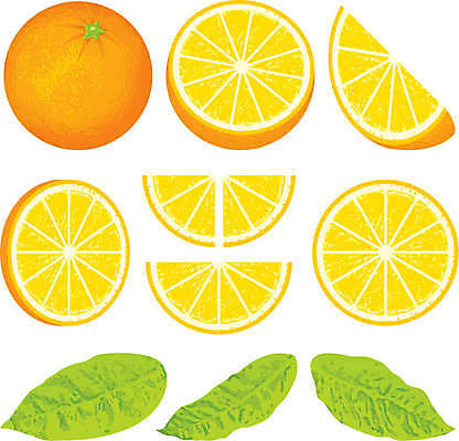 EPS 해외이미지 음식 조각 잎 오렌지 과일 일러스트 귤 초록색 신선 고립 그런지 해외202004 해외일러스트 식물 컬러 파일형식 벡터 이미지허브