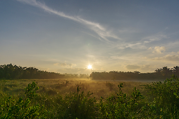포토 JPG 해외이미지 나무 구름 계절 호수 백그라운드 밭 자연 하늘 아침 산 풍경 사람없음 야외 물 여름 빛 태양 일출 환경 일몰 봄 새벽 안개 가을 숲 내추럴 뿌연 해외202004 해외포토 주간 자연요소 식물 농업 날씨 노을 생태계 파일형식 이미지허브