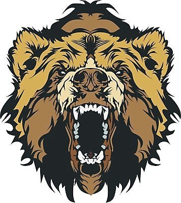 EPS 해외이미지 동물 얼굴 스포츠 일러스트 곰 학교 고등학교 머리 치아 만화 마스코트 발톱 집게발 해외202004 해외일러스트 교육 포유류 발 신체부위 소화기관 파일형식 벡터 이미지허브