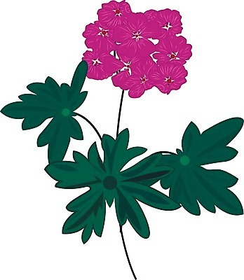 EPS 해외이미지 식물 디자인 꽃잎 꽃 분홍색 꽃다발 백그라운드 잎 꽃무늬 일러스트 자연 벽지 휴식 건강 미술 장식 초록색 여름 유행 정원 보라색 벚꽃 흰색 신선 다발 허브 제비꽃 향수 그림 아로마 향 아로마테라피 라벤더 조제 내추럴 엘리먼트 제라늄 해외202004 해외일러스트 계절 컬러 컨셉 무늬 문화예술 약 화장품 생태계 만들기 테라피 파일형식 벡터 이미지허브