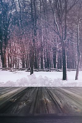 포토 JPG 해외이미지 나무 템플릿 디자인 계절 포스터 조각 백그라운드 컨셉 크리스마스 겨울 자연 탁자 휴가 새로움 새해 풍경 사람없음 목재 크리스마스트리 얼음 추위 흰색 축하 발표 12월 심볼 서리 노엘 엘리먼트 폭설 카피스페이스 해외202004 해외포토 자연요소 식물 기념일 컬러 가구 재료 눈_날씨 공백 날짜 자연재해 생태계 파일형식 이미지허브