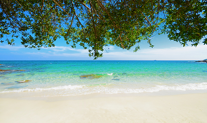 포토 JPG 해외이미지 나무 계절 모래 파도 바다 섬 여행 백그라운드 컨셉 잎 태국 자연 하늘 날씨 휴가 휴식 풍경 사람없음 야외 가로 초록색 물 여름 햇빛 태양 노란색 여행객 우주 맑음 침묵 바위 장면 내추럴 터키석 파라다이스 해외202004 해외포토 자연요소 식물 아시아 컬러 사람 소리 돌_바위 보석 생태계 파일형식 이미지허브