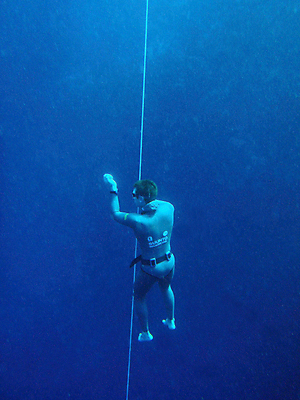 포토 JPG 해외이미지 야생동물 바다 자연 이집트 어류 사람없음 빨간색 물 파란색 수중 구멍 다이빙 무료 해외202004 해외포토 자연요소 동물 컬러 아프리카 수영 수중동물 생태계 수중스포츠 파일형식 이미지허브