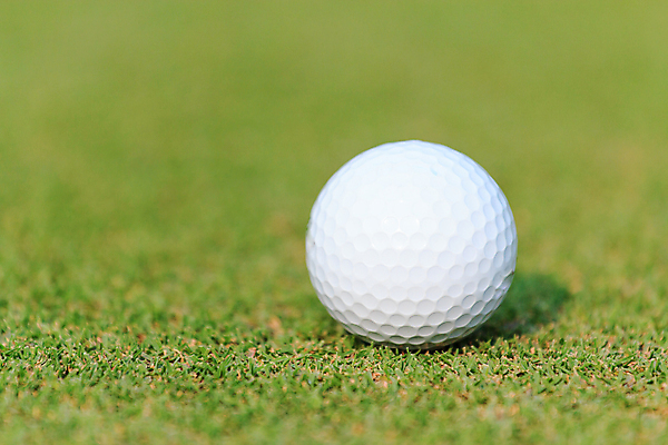 포토 JPG 해외이미지 나무 식물 직업 라이프스타일 스포츠 백그라운드 밭 골프 공 자연 놀이 휴가 풍경 잔디 사람없음 야외 초록색 여름 운동 태양 일몰 경쟁 장비 게임 흰색 골퍼 닫기 강의 오브젝트 클럽 슛 내추럴 골프티 해외202004 해외포토 자연요소 계절 컬러 컨셉 농업 모션 운동선수 골프용품 건강 생활 구기 노을 생태계 파일형식 이미지허브